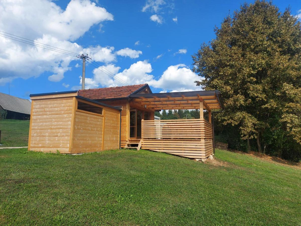Lahinja&Kolpa river apartments Metlika Bagian luar foto