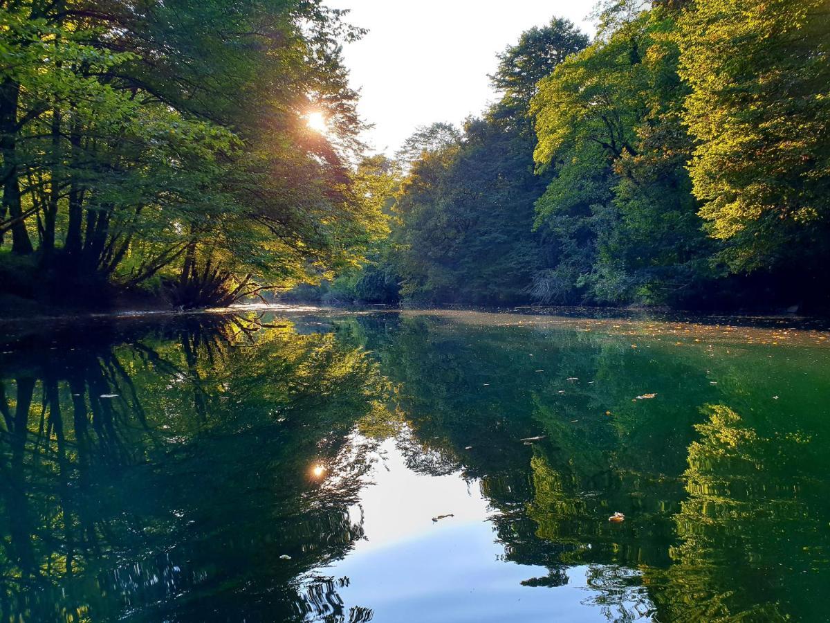 Lahinja&Kolpa river apartments Metlika Bagian luar foto