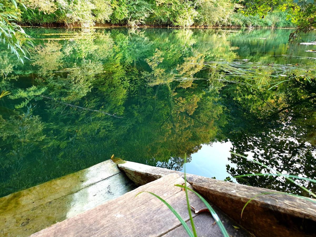 Lahinja&Kolpa river apartments Metlika Bagian luar foto