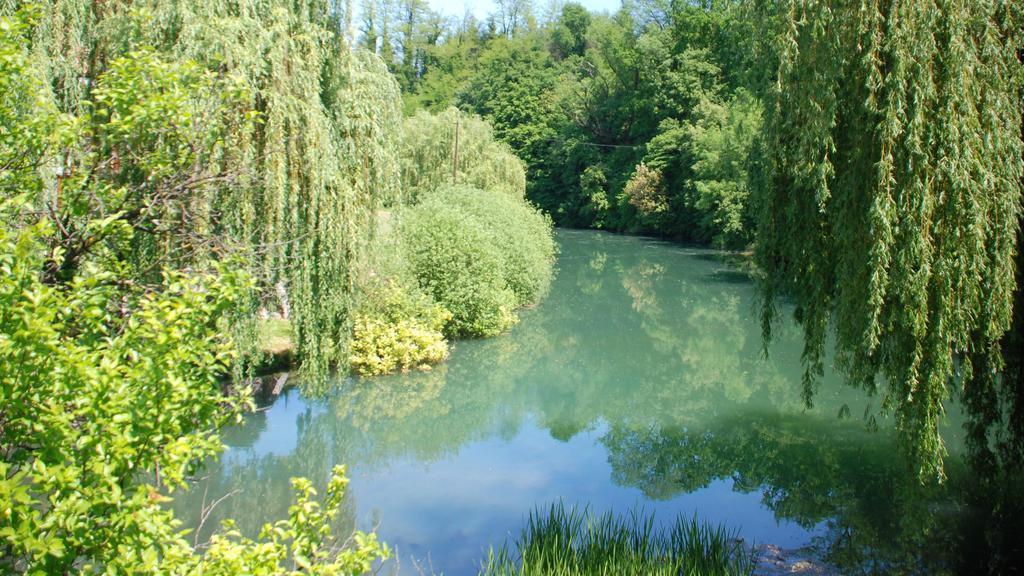 Lahinja&Kolpa river apartments Metlika Bagian luar foto